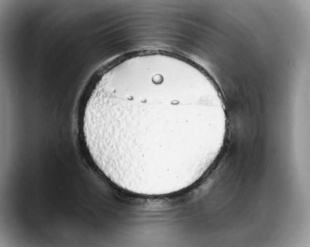 X0000088020979200706081438