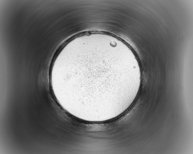 X0000088020980200706081438