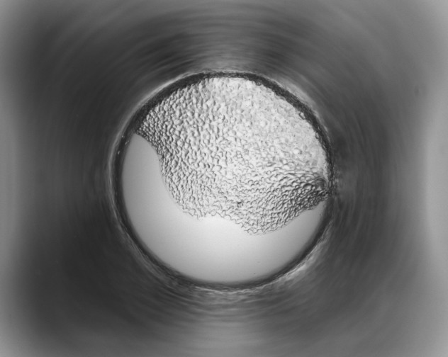 X0000088020981200706081438
