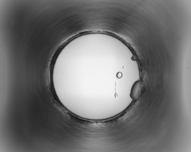 X0000088020982200706081438