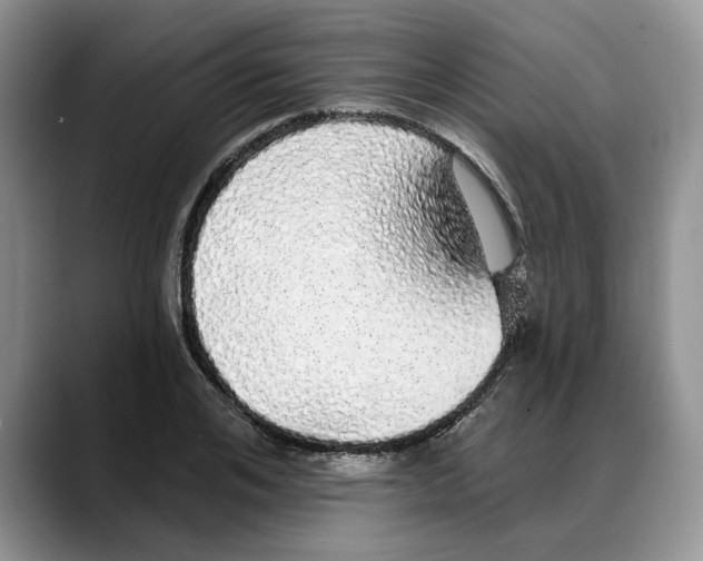 X0000088020984200706081438