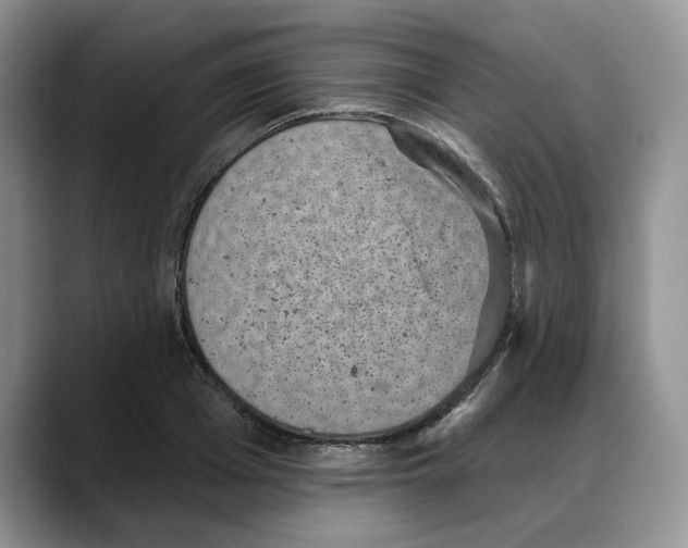 X0000088020985200706081438