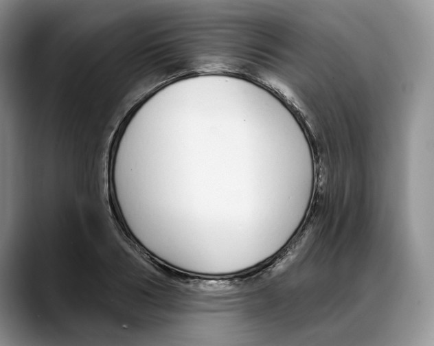 X0000088020986200706081438