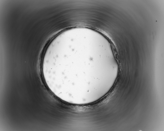 X0000088020987200706081438