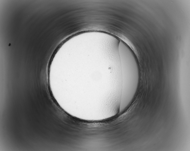 X0000088020988200706081438