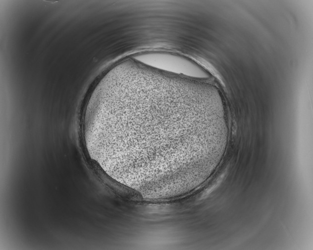 X0000088020989200706081438