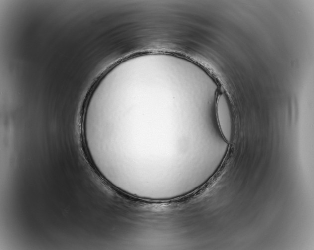 X0000088020990200706081438