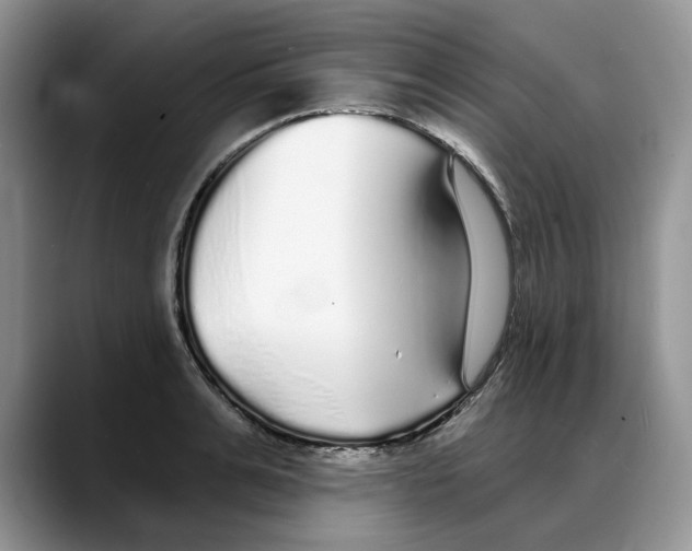 X0000088020991200706081438