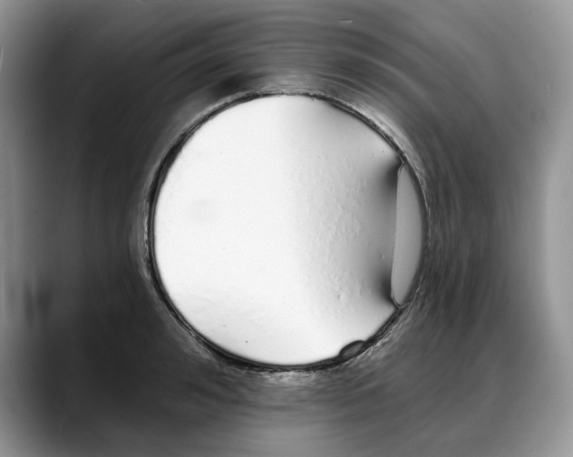 X0000088020992200706081438