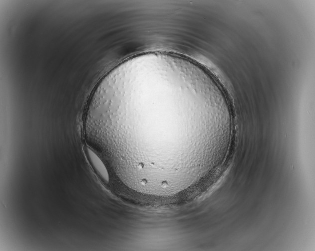 X0000088020993200706081438
