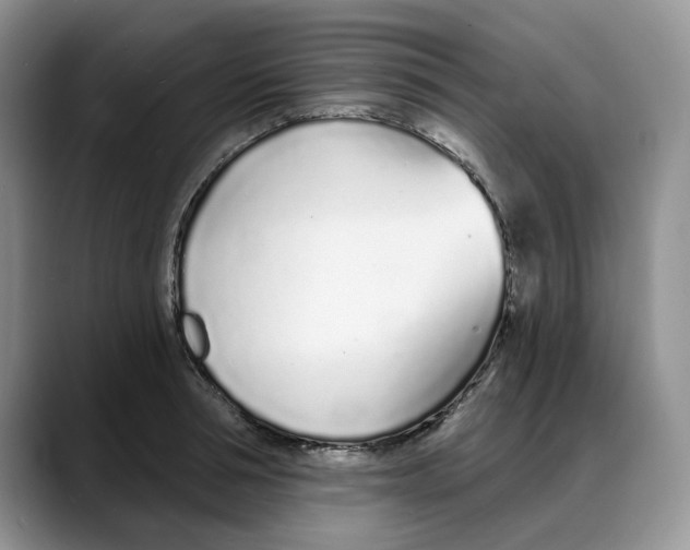 X0000088020994200706081438