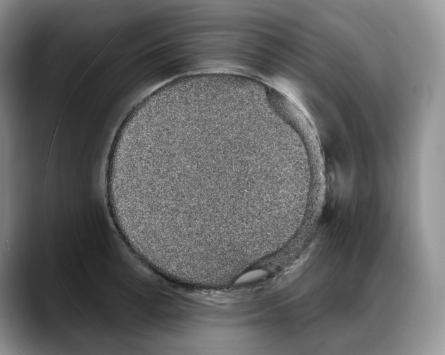 X0000088020995200706081438