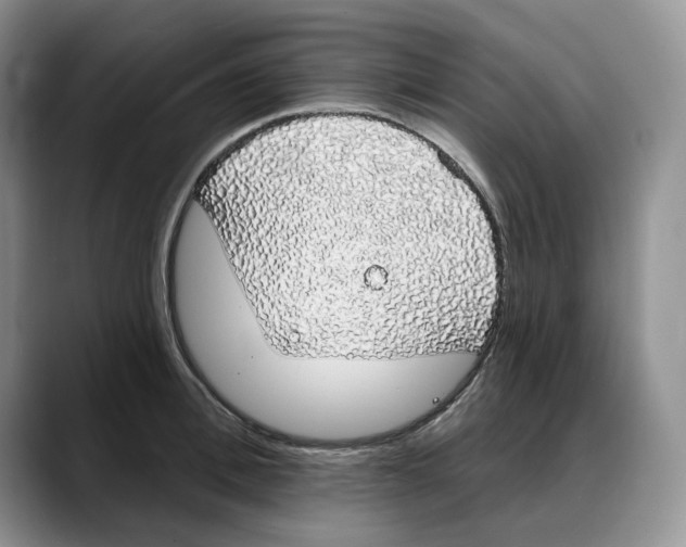 X0000088020996200706081438