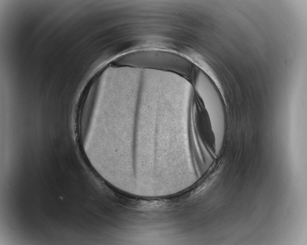 X0000088020997200706081437