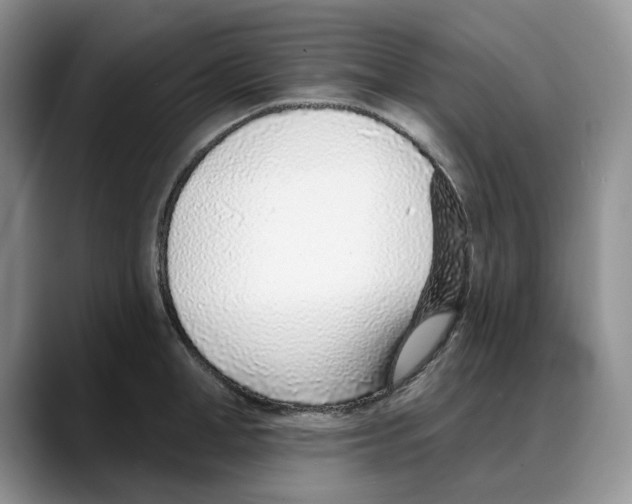 X0000088020998200706081437