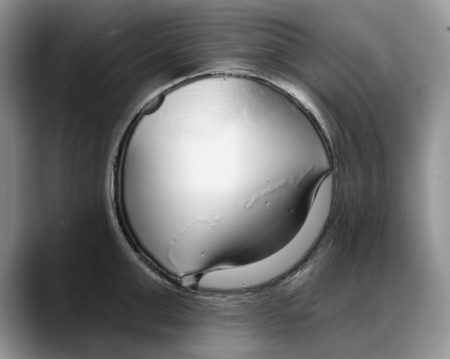 X0000088020999200706081437