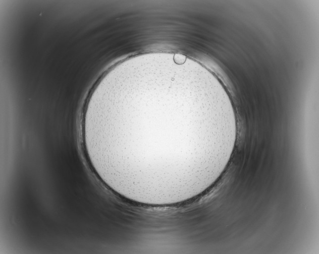 X0000088021000200706081437