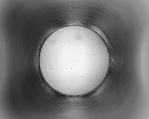 X0000088021002200706081437