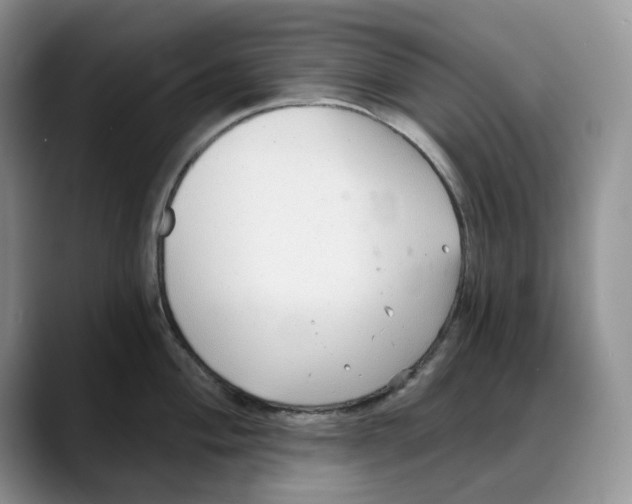 X0000088021004200706081437