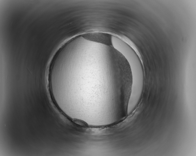 X0000088021005200706081437