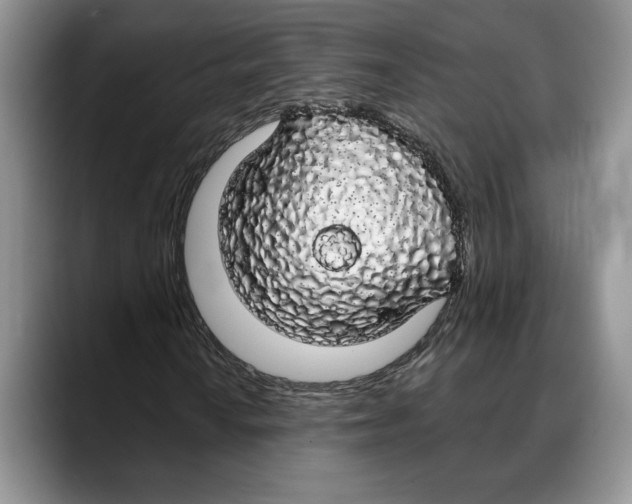 X0000088021010200706081437