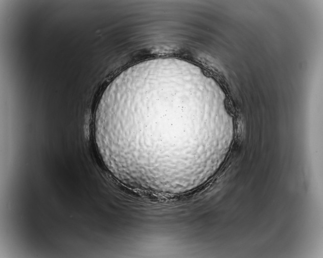 X0000088021012200706081437