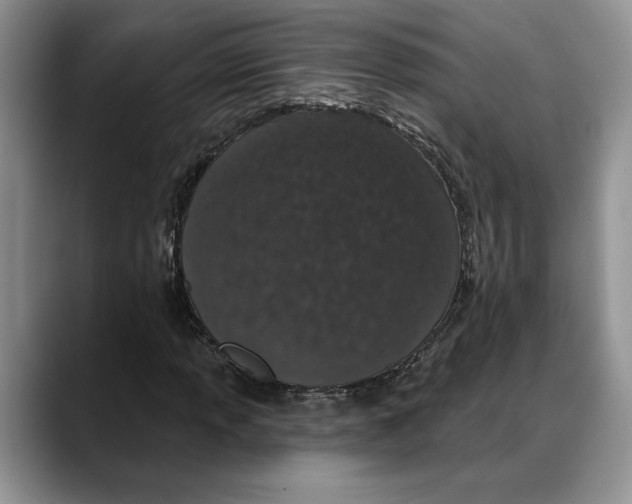 X0000088021013200706081437