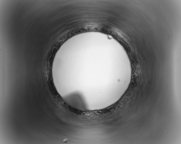 X0000088021015200706081437