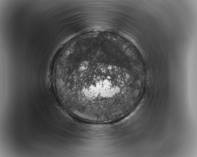 X0000088021018200706081437
