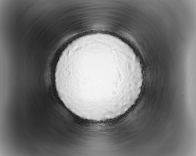 X0000088021019200706081437