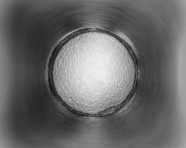 X0000088021020200706081437