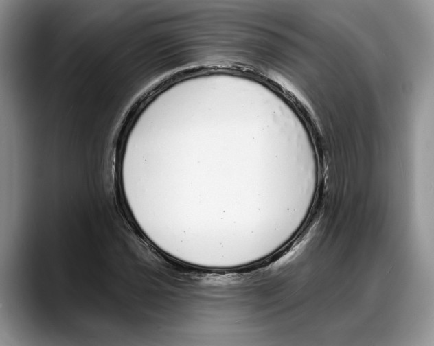 X0000088021021200706081437