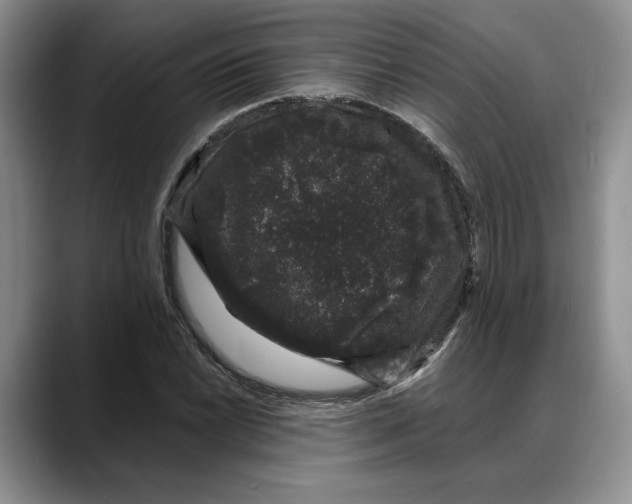 X0000088021022200706081437