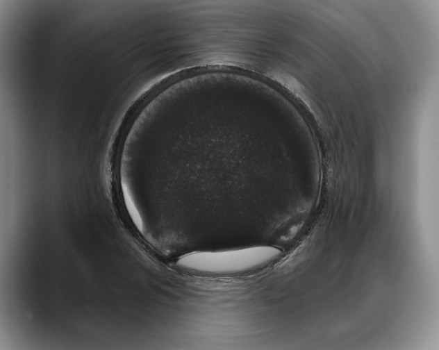 X0000088021024200706081437