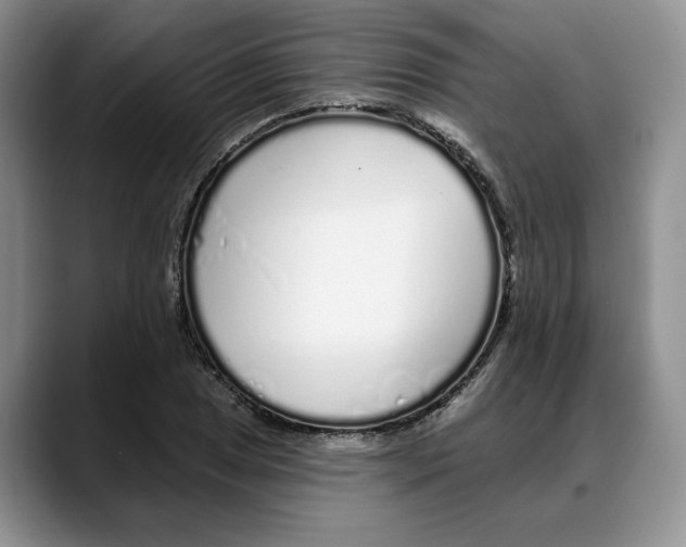 X0000088021025200706081437