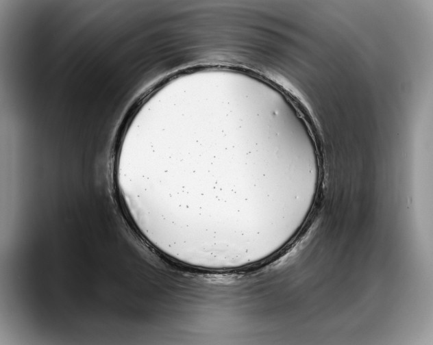 X0000088021029200706081437