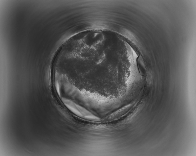 X0000088021030200706081437