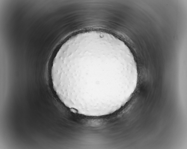 X0000088021031200706081437