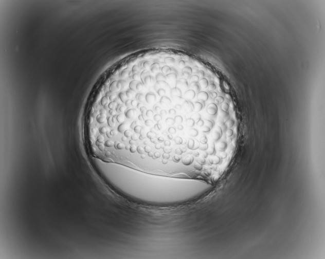 X0000088021032200706081437