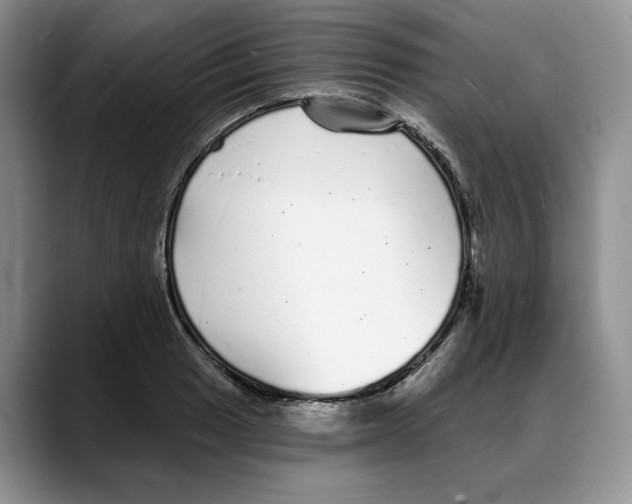 X0000088021033200706081437