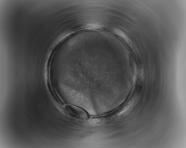 X0000088021034200706081437