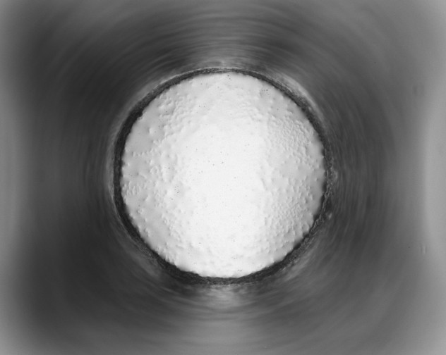 X0000088021035200706081437