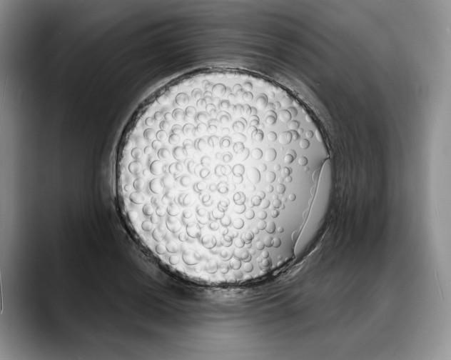 X0000088021036200706081437