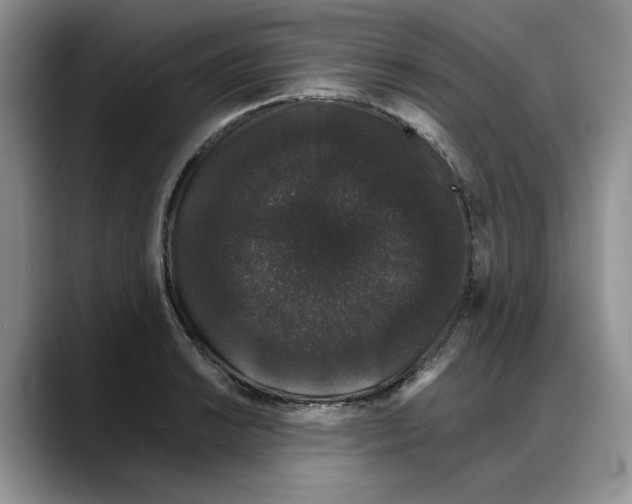 X0000088021038200706081437