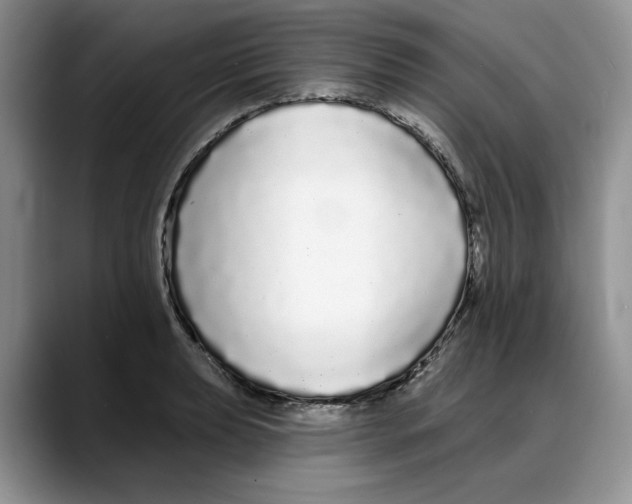 X0000088021039200706081437