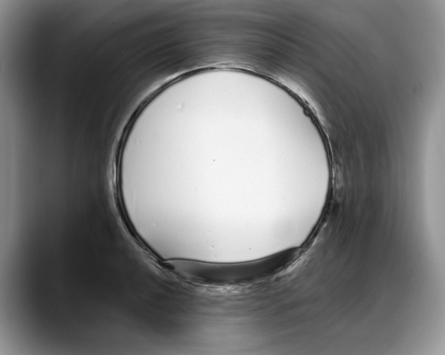 X0000088021040200706081437