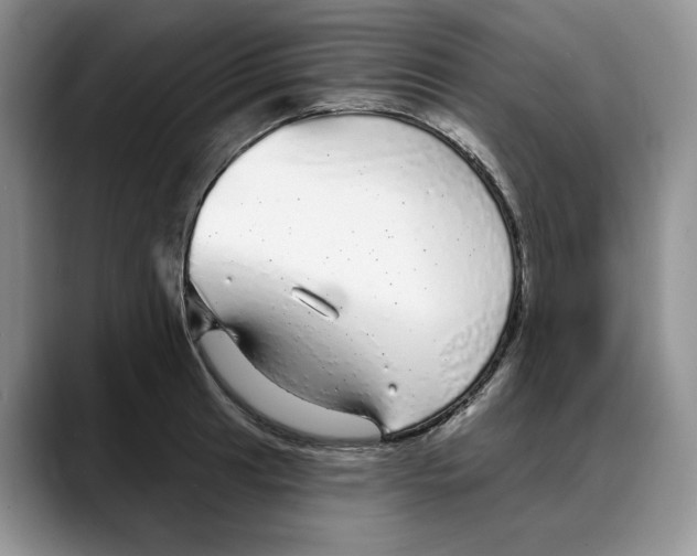 X0000088021041200706081437