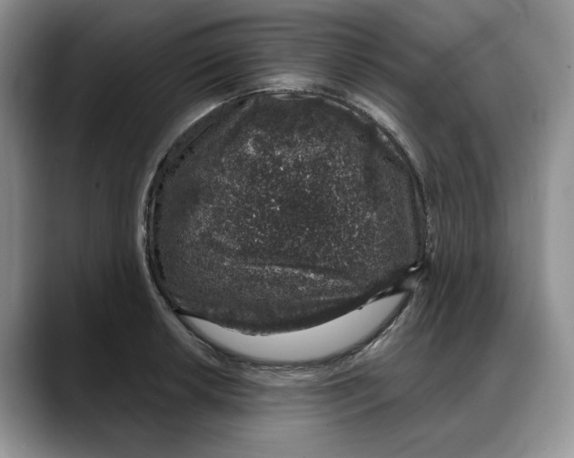 X0000088021042200706081437