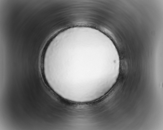 X0000088021043200706081437