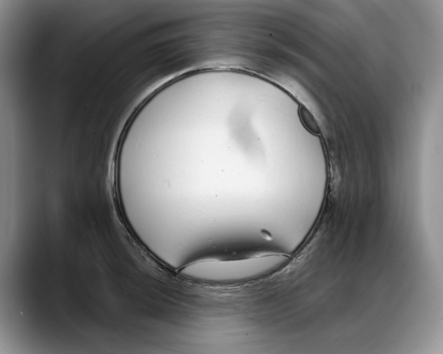 X0000088021044200706081437